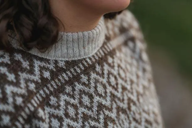 Borg - Icelandic Oatmeal sweater