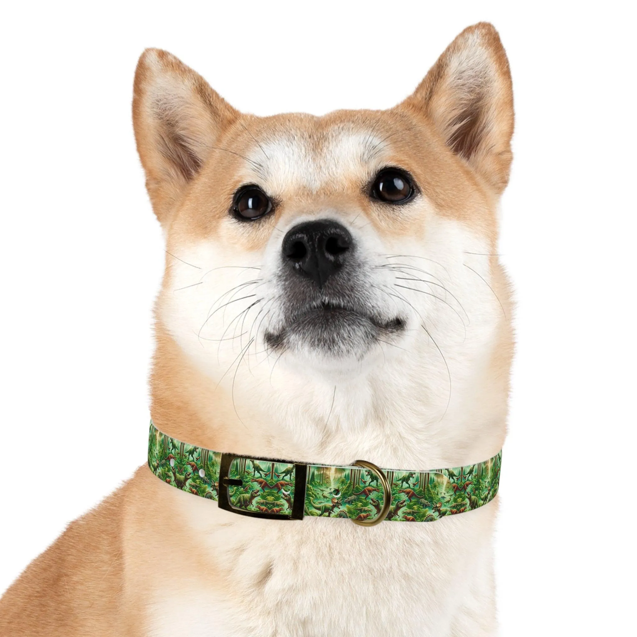 Jurassic Bark Collar