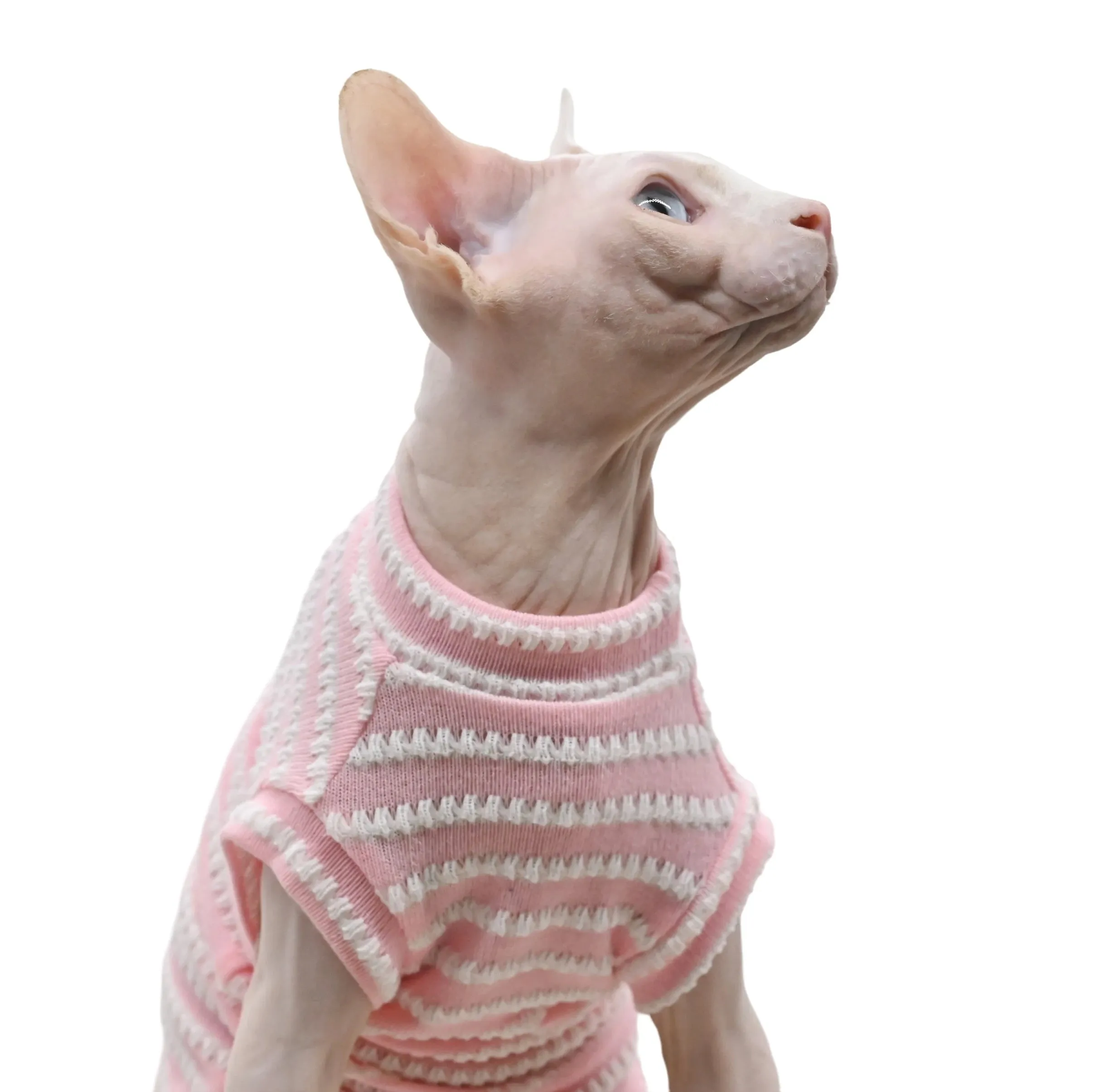 Sphynx Cat Clothes | Hairless Cat Summer Clothing | Pure Cotton Skin-Friendly Close-Fitting Pet Apparel for Small Cats and Dogs | Alo Trendy