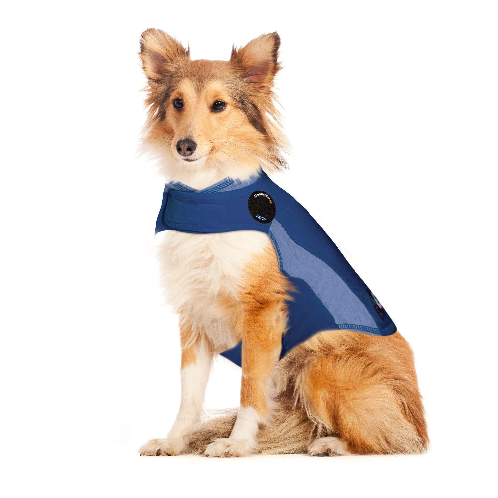 Thunderworks ThunderShirt for Dogs: Blue Polo